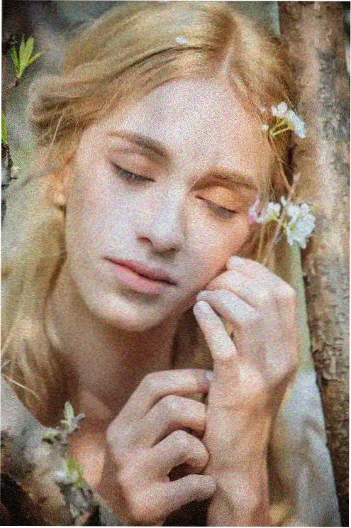 欧美悬疑剧雾港回声海报